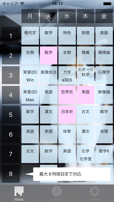 iPhone Screenshot 5