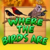 Where The Birds Are birds