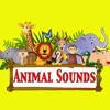 Animal Sounds for toddler and young kids FREE | learn and entertain with fun animal sounds animal sounds ringtones 