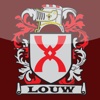Louw Incorporated corporate law practice areas 
