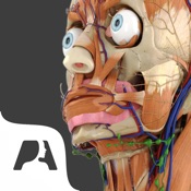 Pocket Anatomy - Interactive 3D Human Anatomy and Physiology.