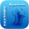 Human Anatomy System : Skeletal System - Human Anatomy Dictionary pictures female human anatomy 