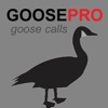 Canada Goose Calls & Goose Sounds for Hunting + BLUETOOTH COMPATIBLE canada goose 
