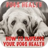 Dog's Health Problems - How To Improve Your Dog's Health+ medical health problems 