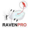 Raven Hunting Strategy - Hunting Simulator for Bird Hunting - Ad Free texas hunting guide jobs 