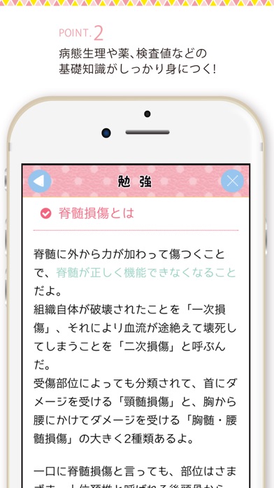 iPhone Screenshot 3