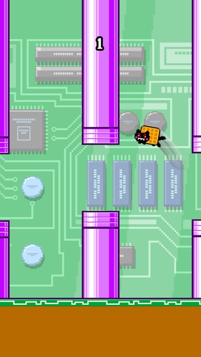 Screenshots of Flappy Nyan for iPhone