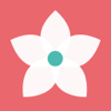no app image