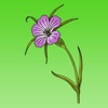 How To Draw Flowers - Beautiful Flowers flowers coupon 