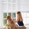 Window Blinds Safety:Decorating and Creating window blinds at amazon 