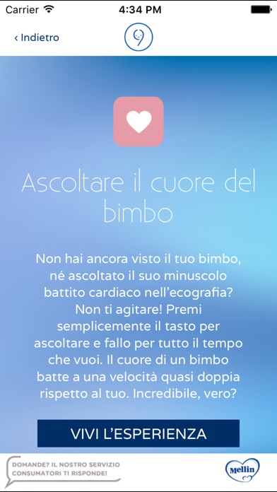 iPhone Screenshot 5