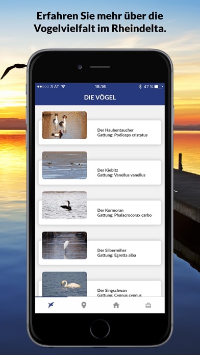 iPhone Screenshot 2