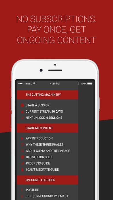 iPhone Screenshot 2