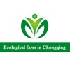 Ecological farm in Chongqing chongqing 