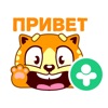 Котаны (ДругВокруг)