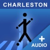 Historic Walking Tour of Charleston, SC - Premium eco tours charleston sc 