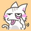 Vilain chat