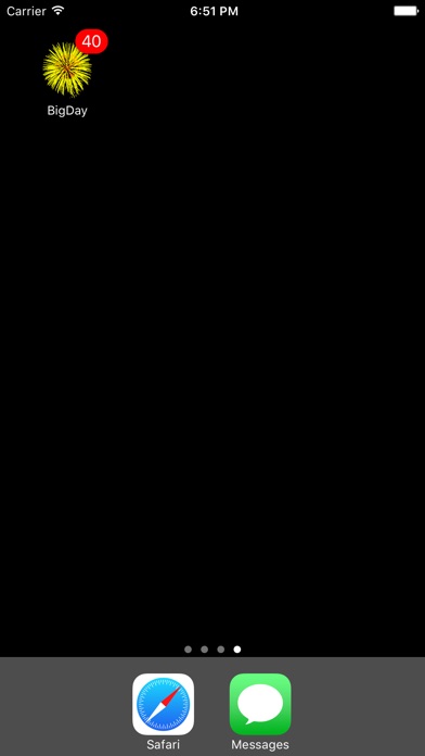 iPhone Screenshot 2