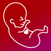 Filip Nikolic - My Baby's Heartbeat - Fetal Monitor and Record.er artwork