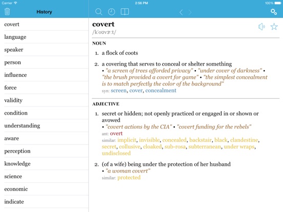 iPad Screenshot 5