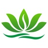 健康养生
