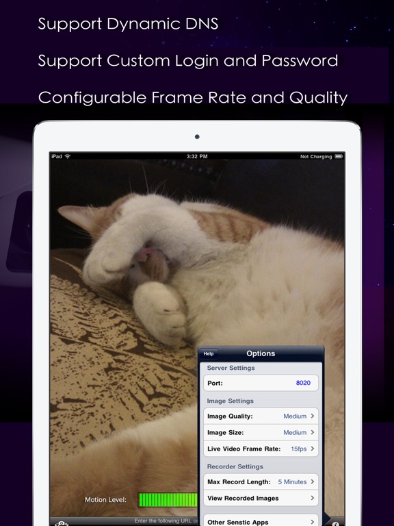 iPad Screenshot 4
