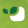Vivus.ge