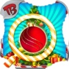 christmas hidden object - puzzle game