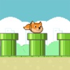 Doge Jump Game