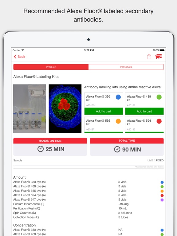 iPad Screenshot 3