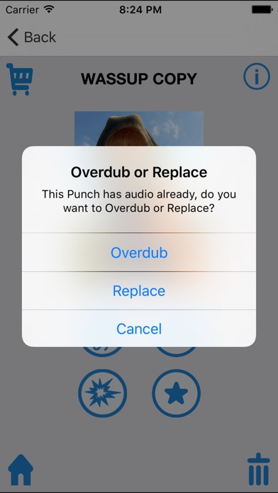 iPhone Screenshot 5