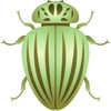 Nab Insect