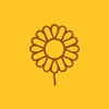 葵花街