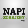 Napi Sorsjegy