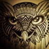 Owl Tattoos madagascar red owl 