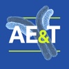 IBC Antibody Engineering