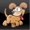 hundewiesen.com
