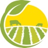 Saveurs-Terroir