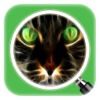 Guess the Pic ~ Free Photo Quiz with Pic and Word