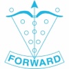 G.S.A.V.V. Forward