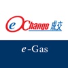 e-Gas