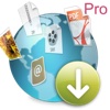Web Downloader Pro