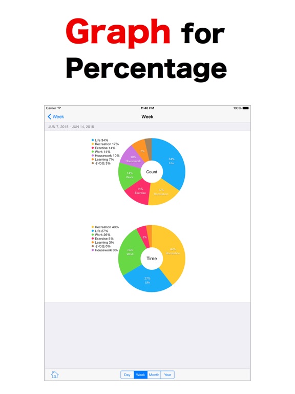 iPad Screenshot 4
