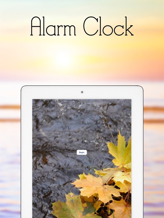 iPad Screenshot 4