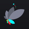 Recolor Effects: Color Pop or Paint your Pictures with Photo Highlights Editing App