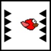 dpbird