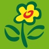 FloraPrima Blumenversand