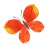Labo Leaves - 18 Leaf Crafts & Activities for Kids 3+