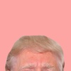 The Donald Keyboard