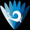EH Surf Forecast